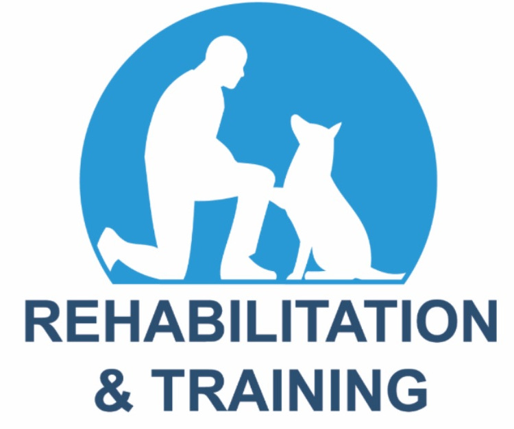 Steve Hutley Dog Rehabilitation & Training